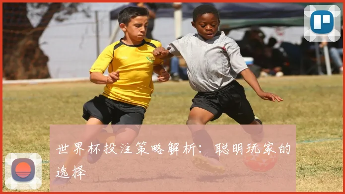 世界杯投注策略解析：聪明玩家的选择